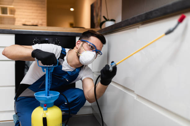 Best Mosquito Control Services  in Waverly, MI