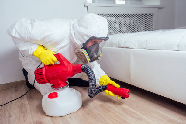 Best Bed Bug Extermination  in Waverly, MI