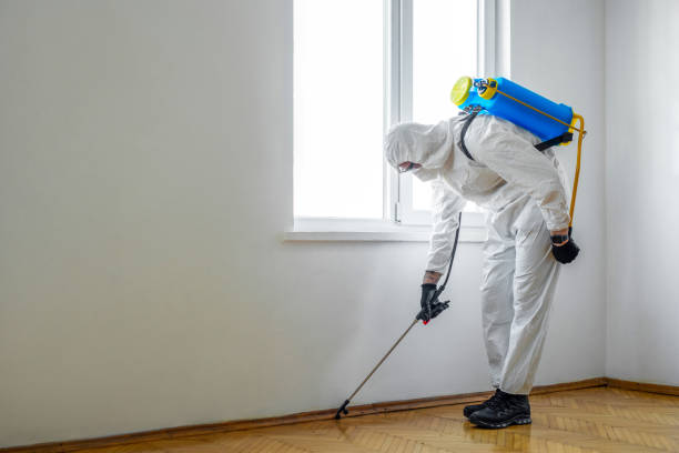 Best Local Pest Control Services  in Waverly, MI