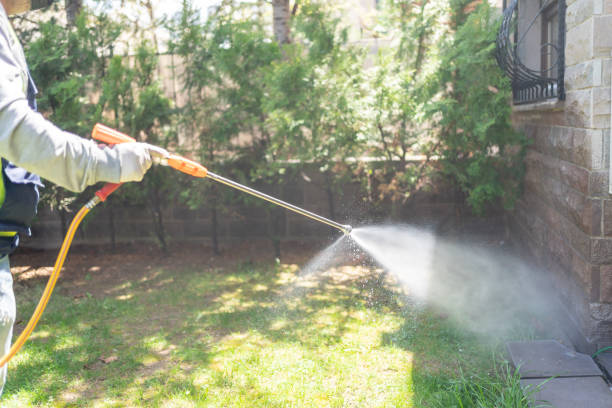 Best Ant Control Services  in Waverly, MI