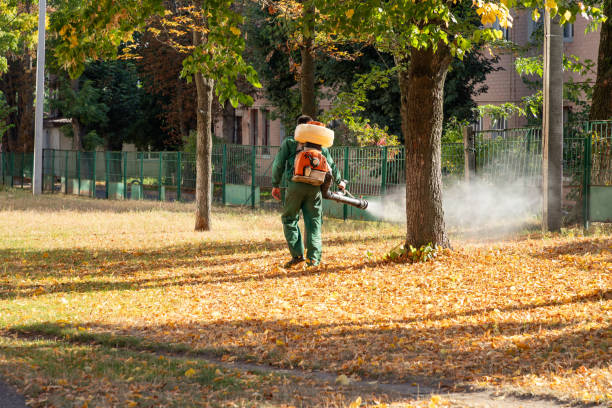 Best Insect Control  in Waverly, MI