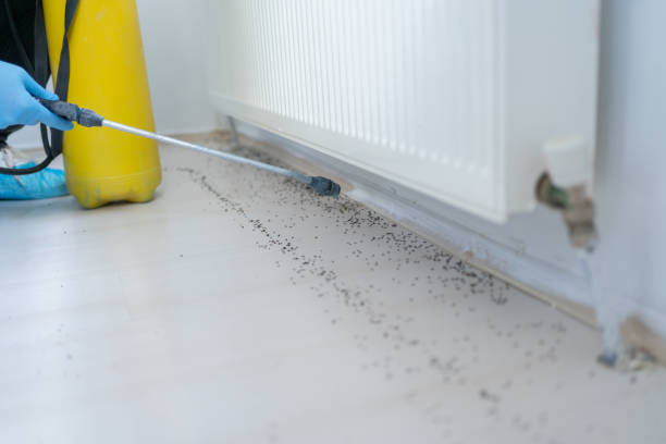 Best Spider Control Near Me  in Waverly, MI
