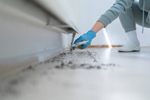 Best Emergency Pest Control  in Waverly, MI