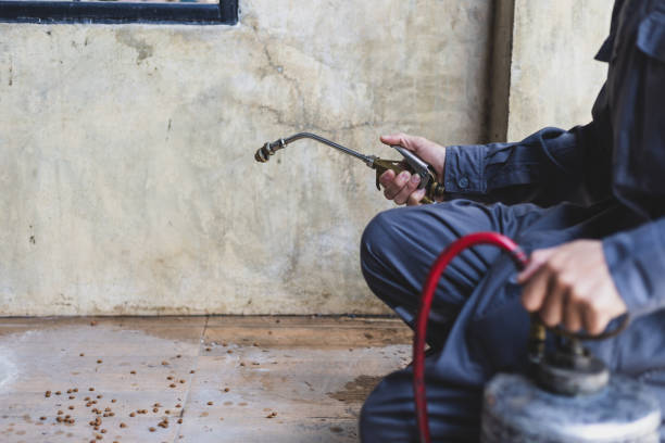 Best Pest Inspection Near Me  in Waverly, MI
